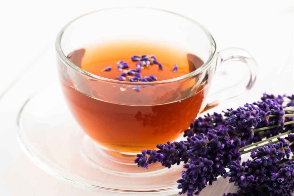 Lavender untuk teh blending