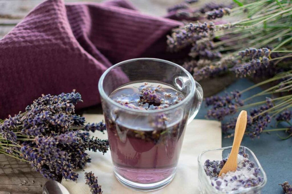 larangan minum teh lavender